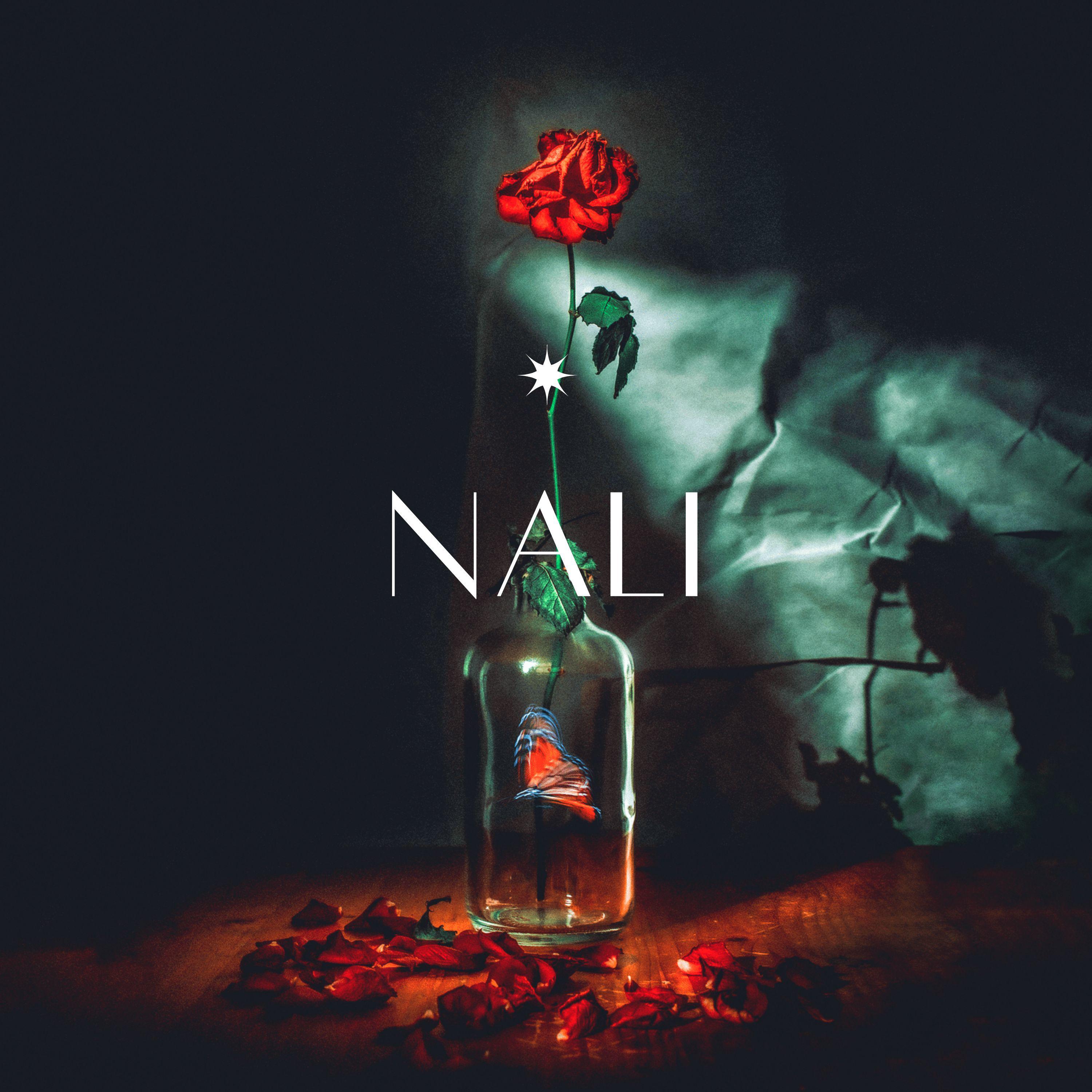 Постер альбома Nali