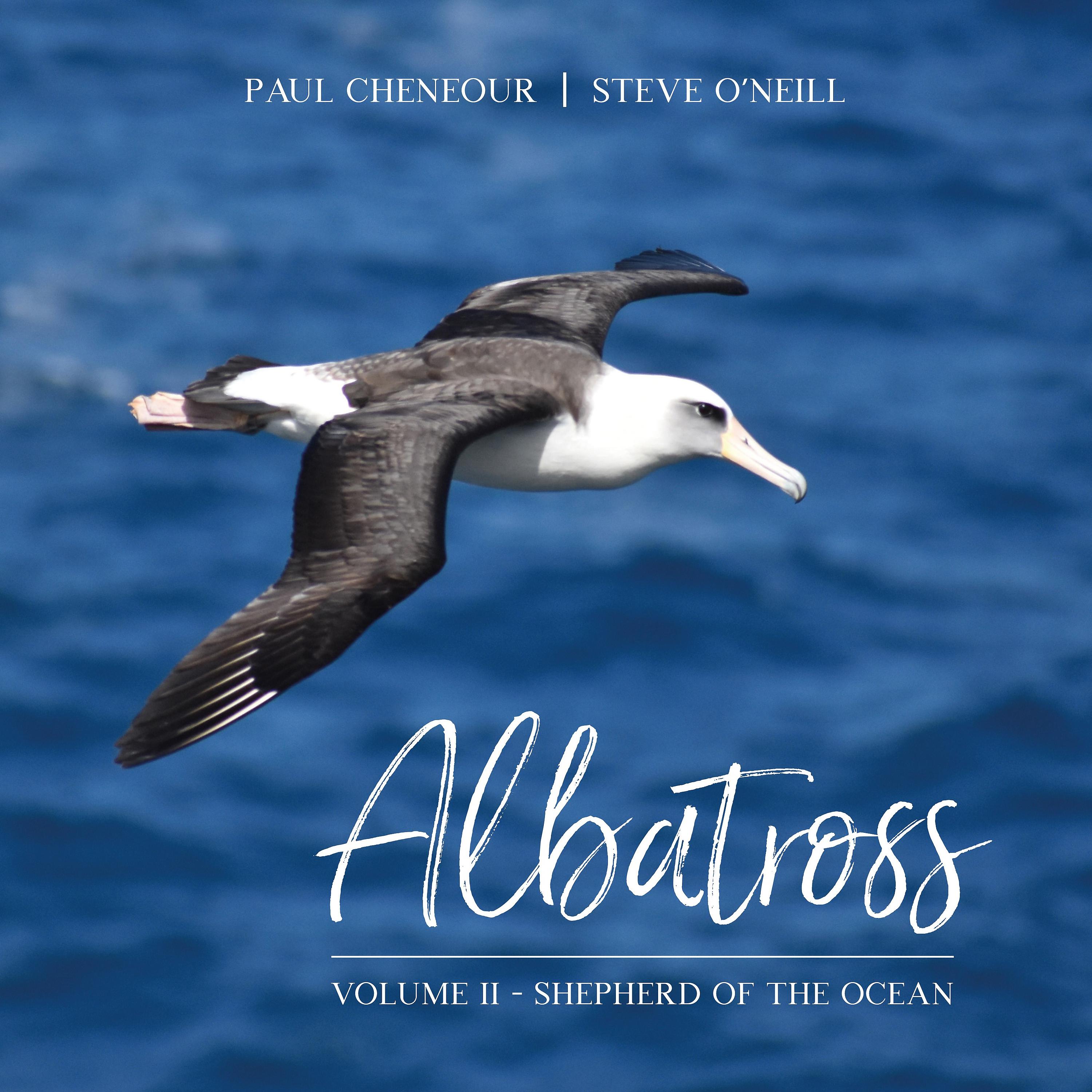 Постер альбома Albatross, Vol. 2: Shepherd of the Ocean