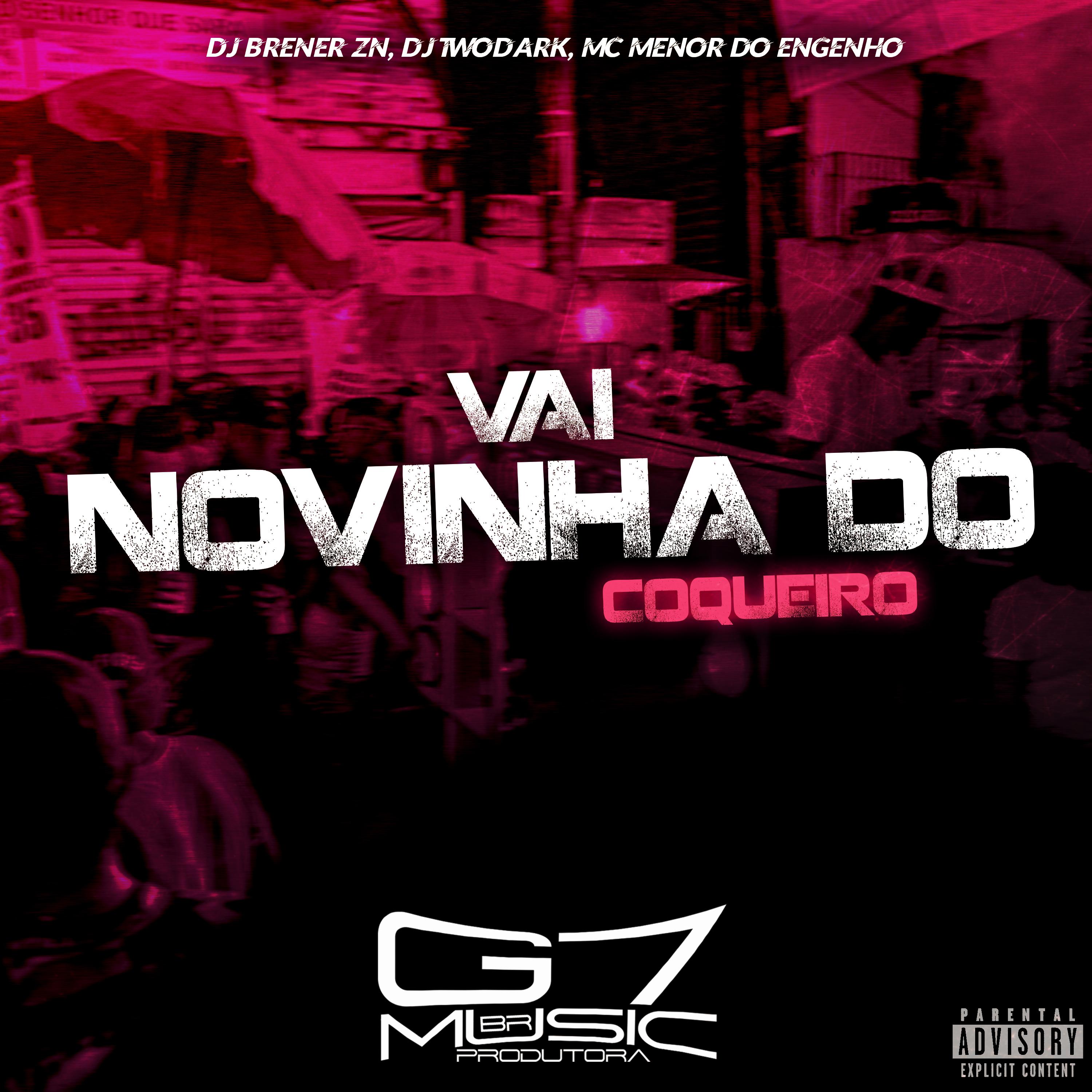 Постер альбома Vai Novinha do Coqueiro