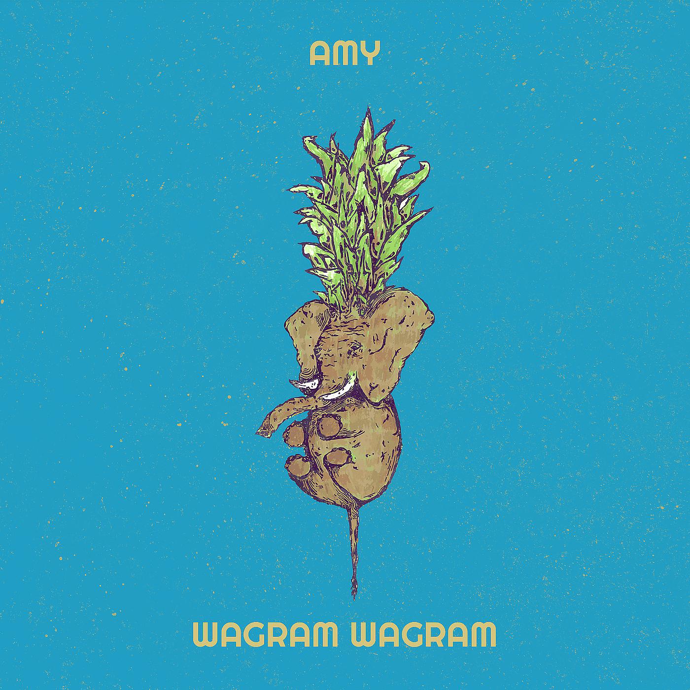 Постер альбома Amy