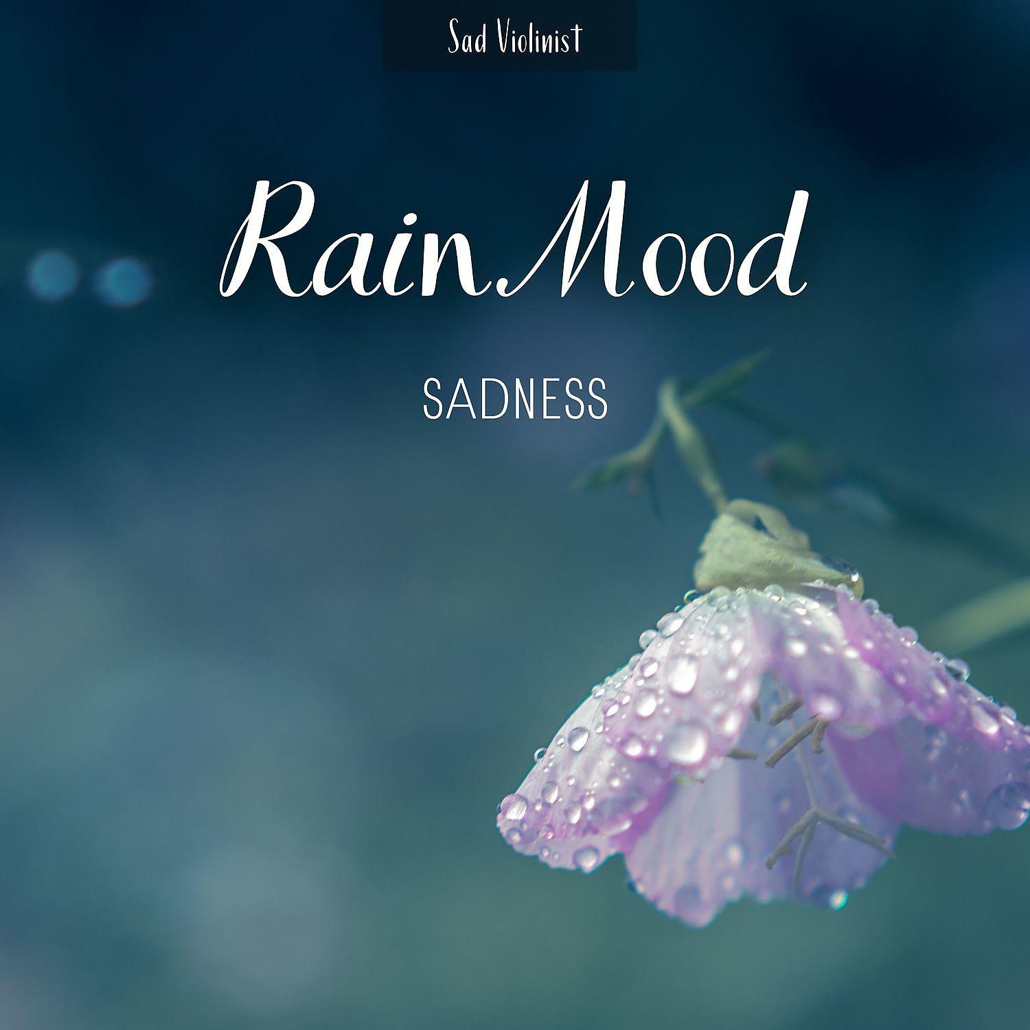 Постер альбома Rain Mood, Sadness