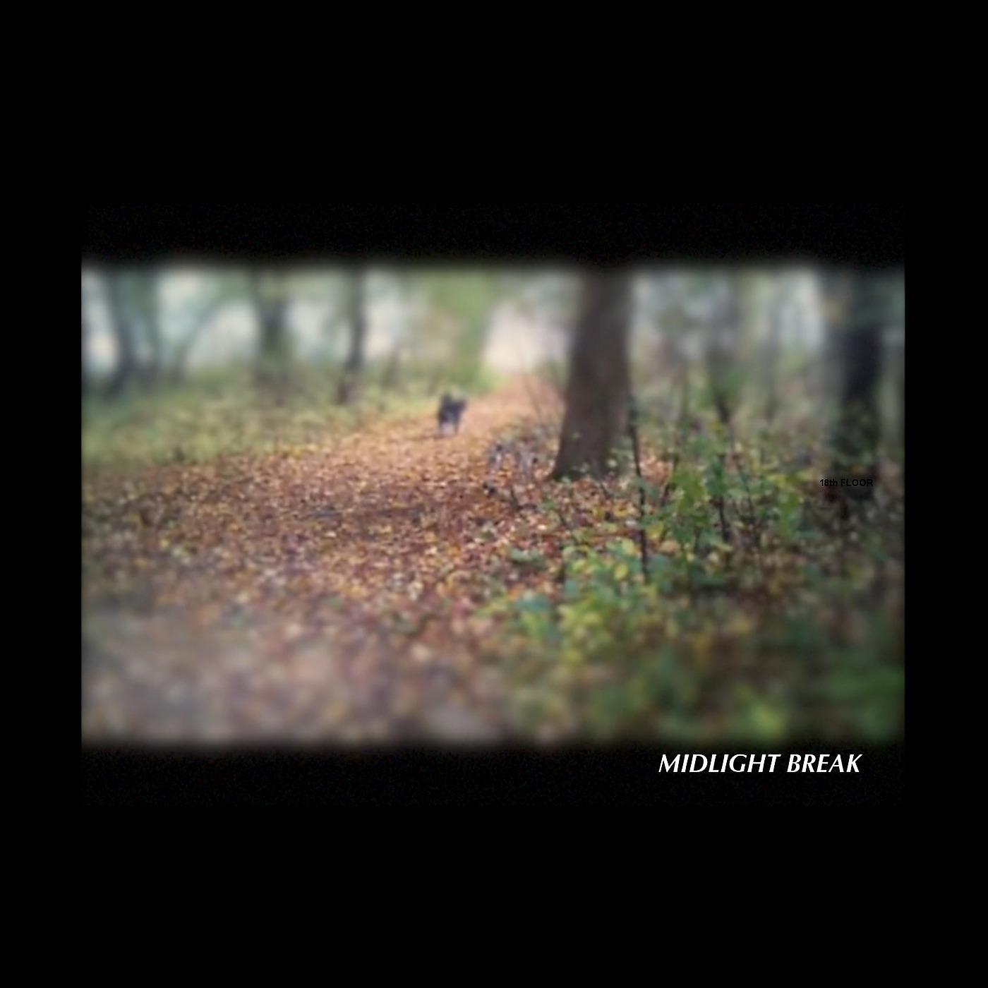Постер альбома Midlight Break