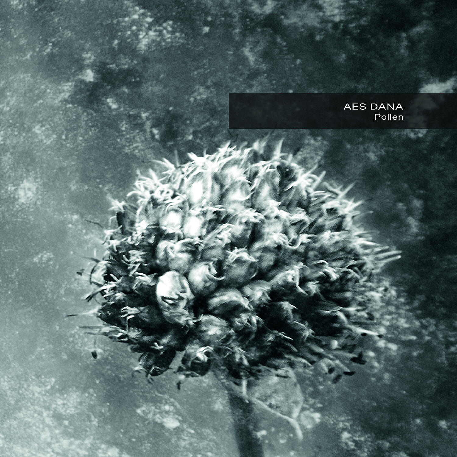 AES Dana - Riven (Remastered)