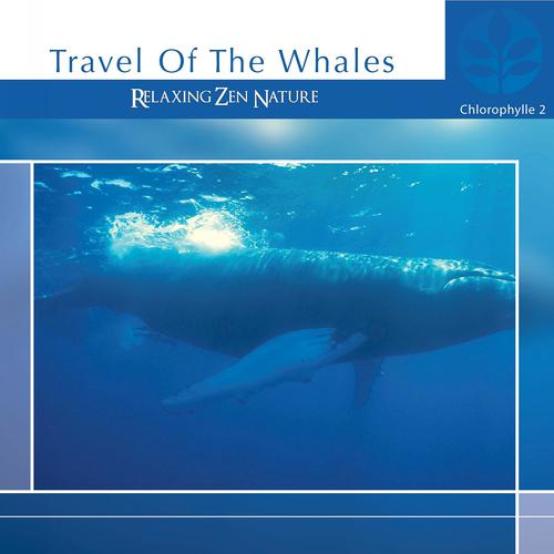 Постер альбома Chlorophylle II Travel of the Whales