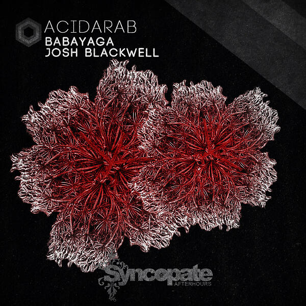 BabaYagA - Acidarab (Remastered)