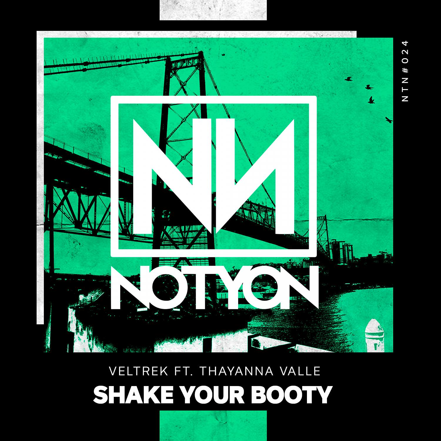 Постер альбома Shake Your Booty (feat. Thayana Valle)