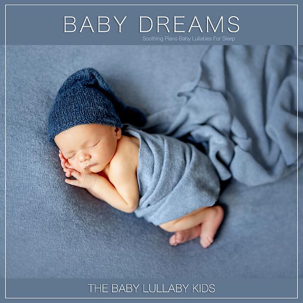 Постер альбома Baby Lullaby Dreams