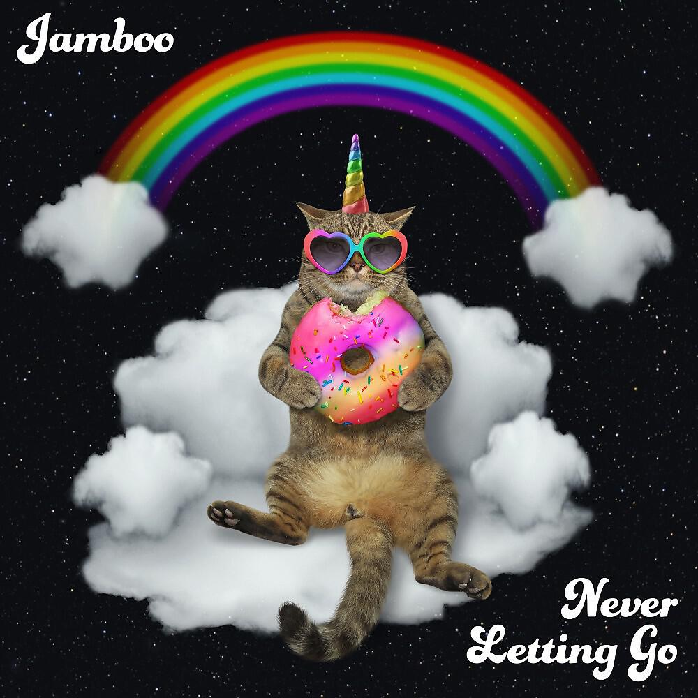 Jamboo - Never Letting Go (Radio Instrumental)