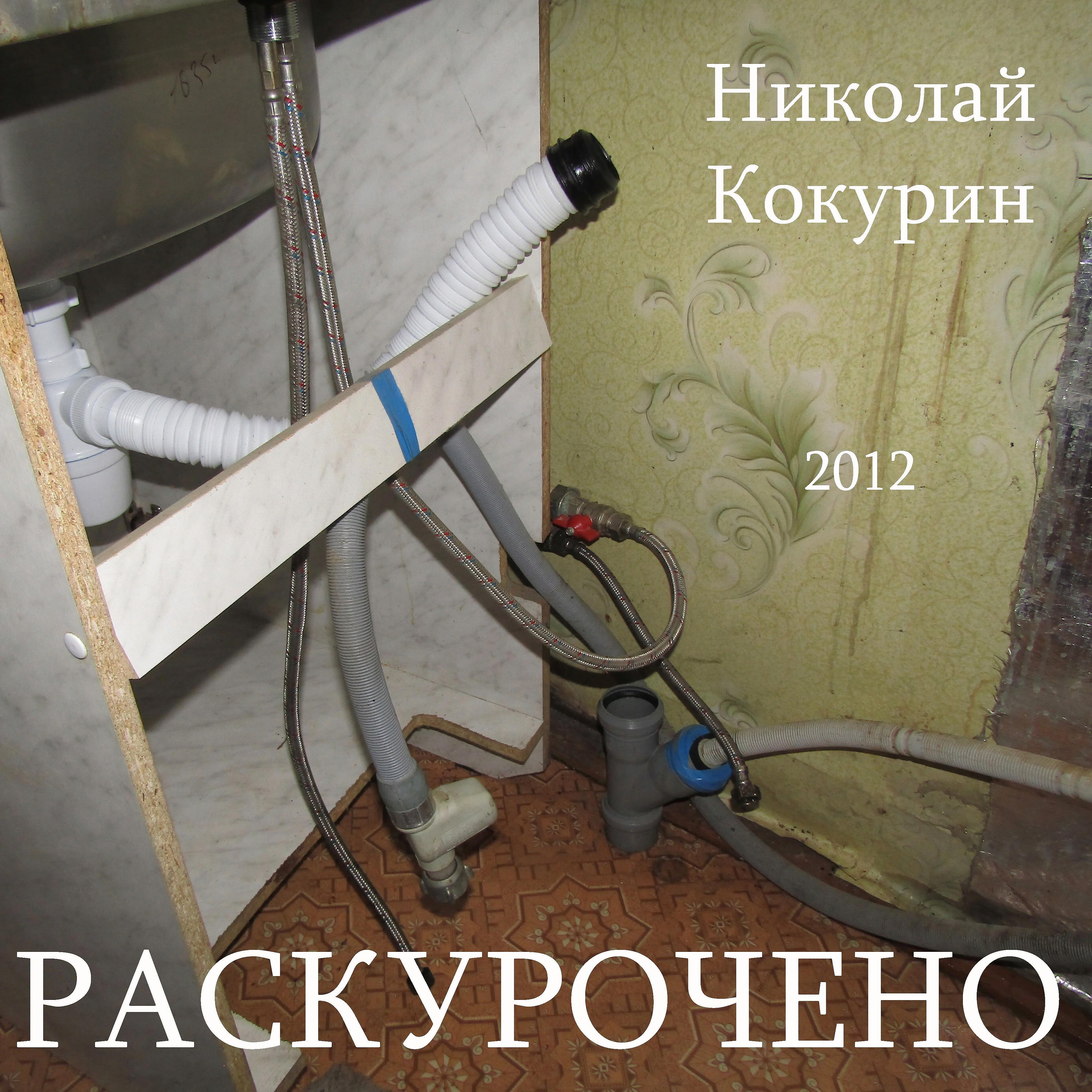 Николай Кокурин - Независимость