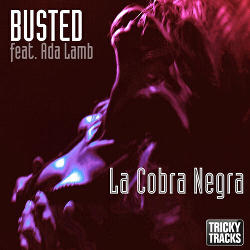 Busted - La Cobra Negra (Original Club Mix)