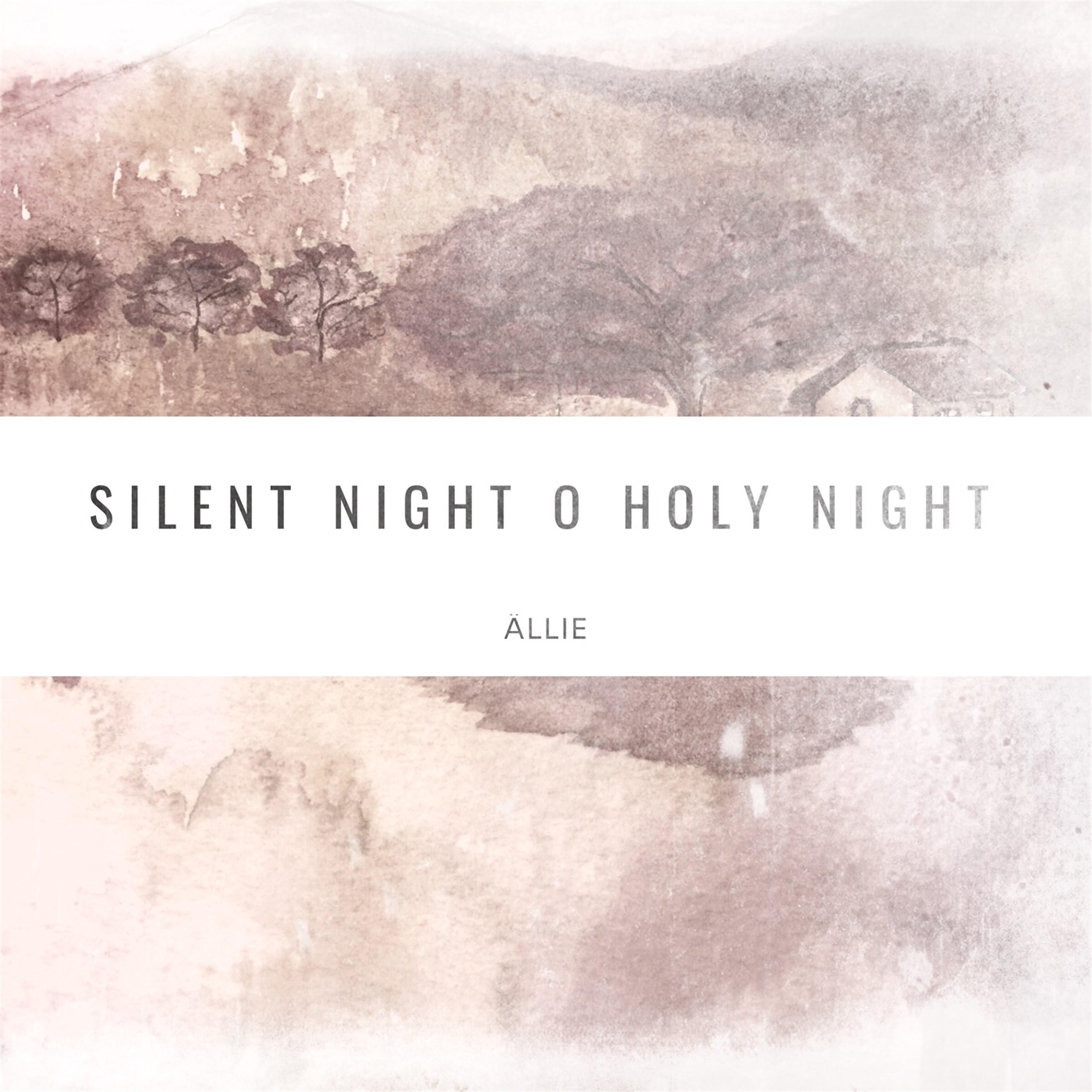 Постер альбома Silent Night O Holy Night