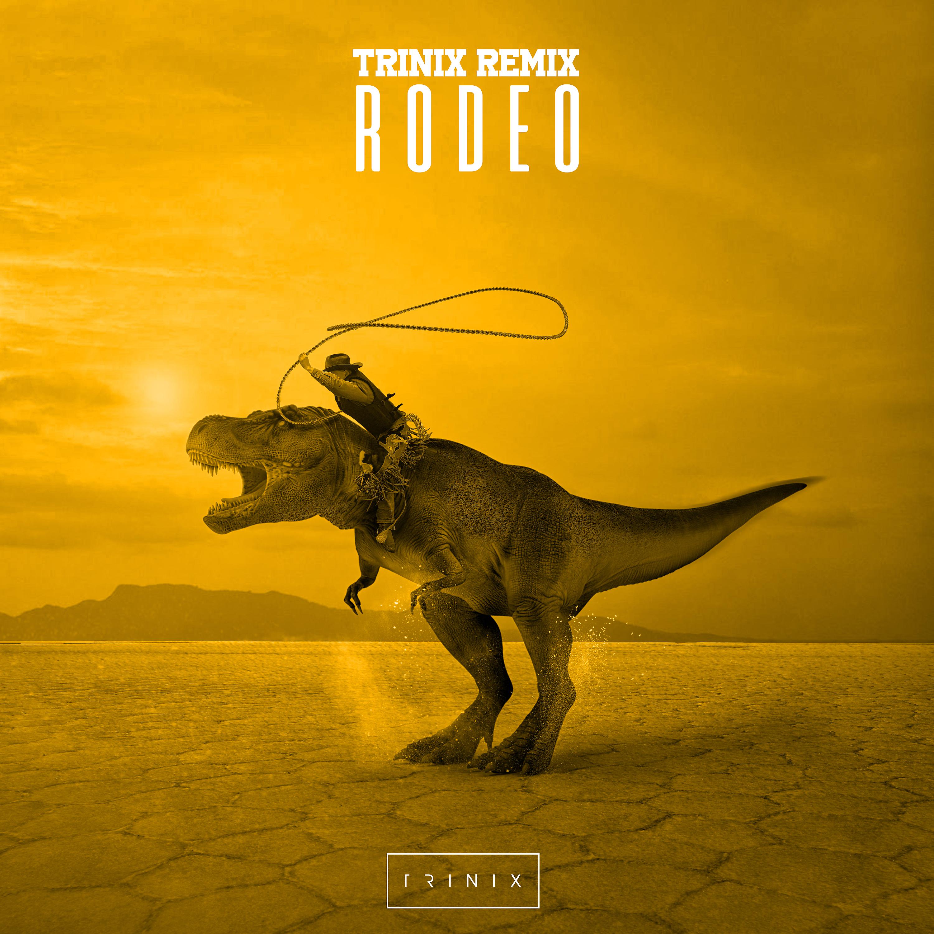 Постер альбома Rodeo (Remix)