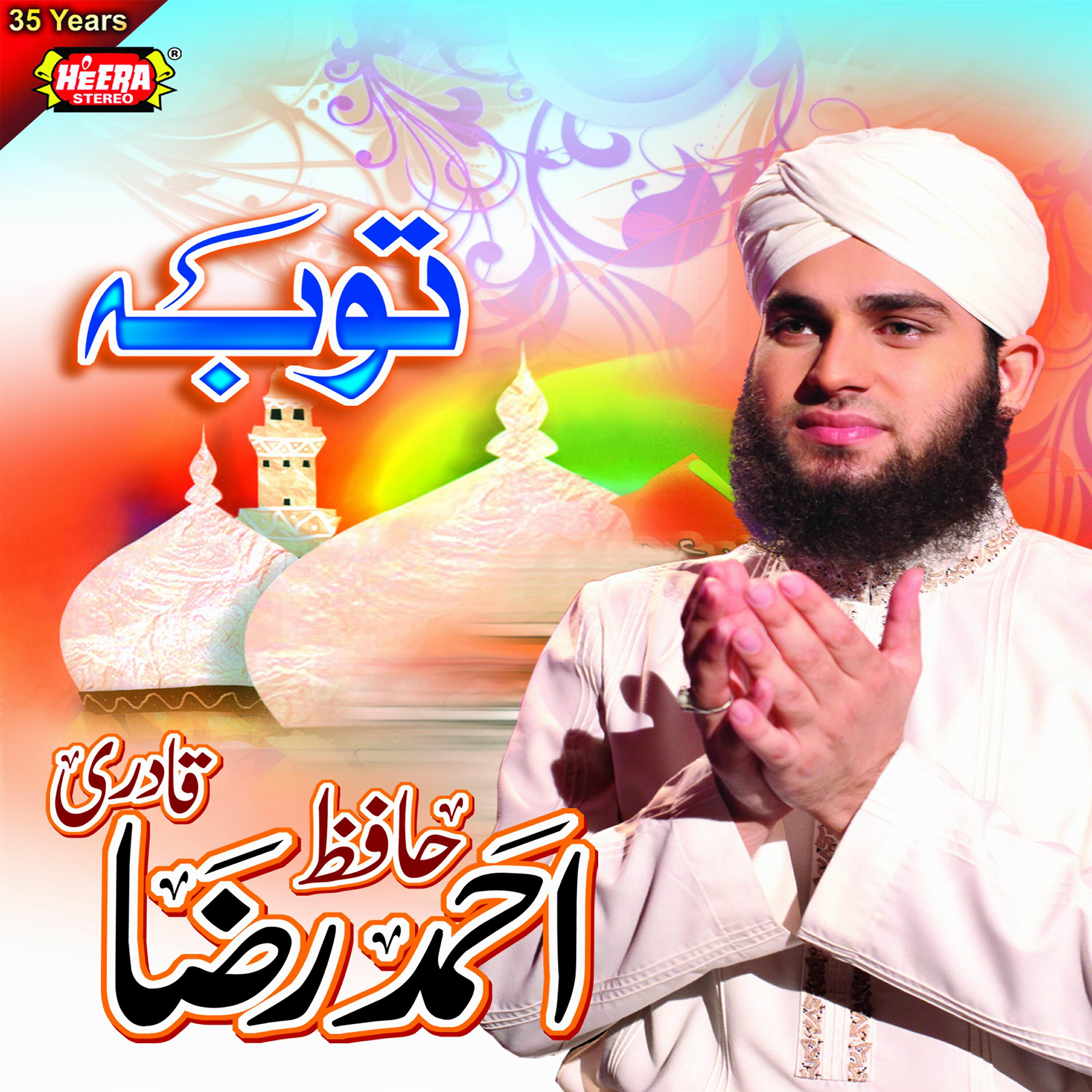 Hafiz Ahmed Raza Qadri - Pul Se Utaro