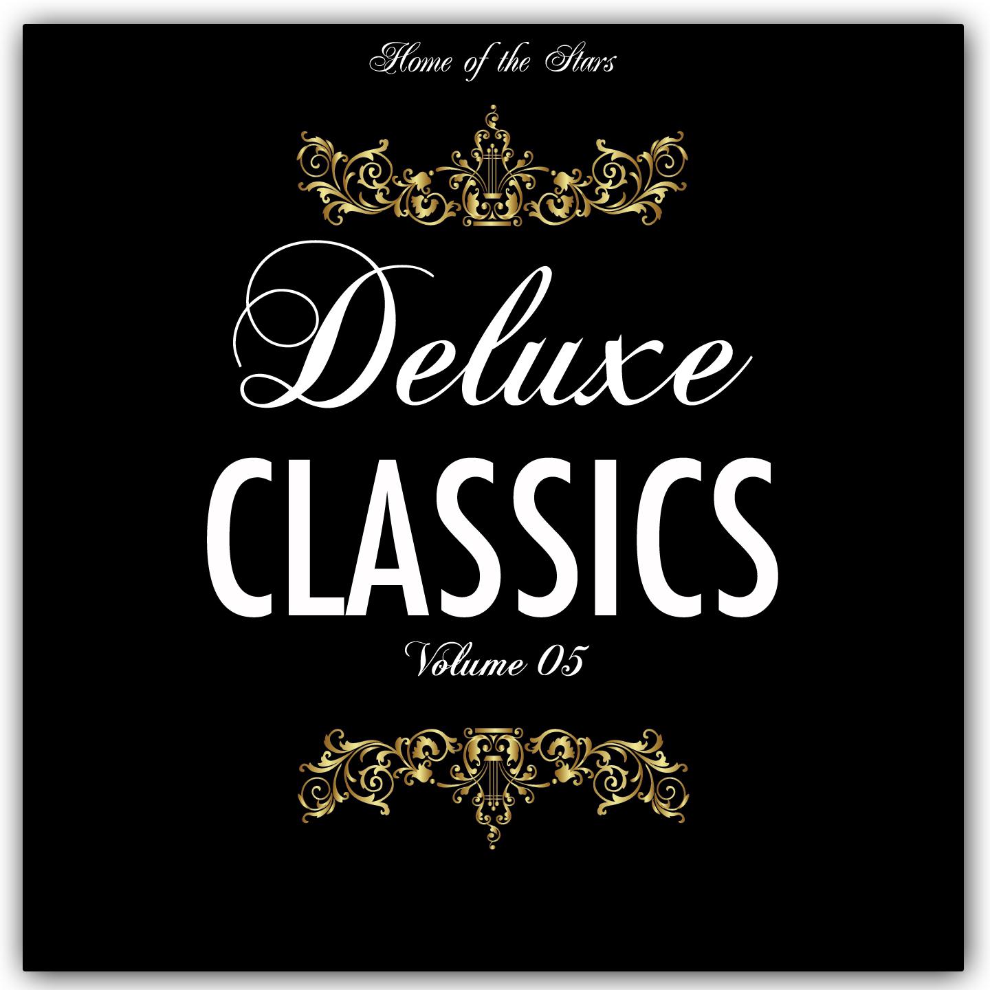 Постер альбома Deluxe Classics, Vol. 05 (Non Stop Chart Hits)