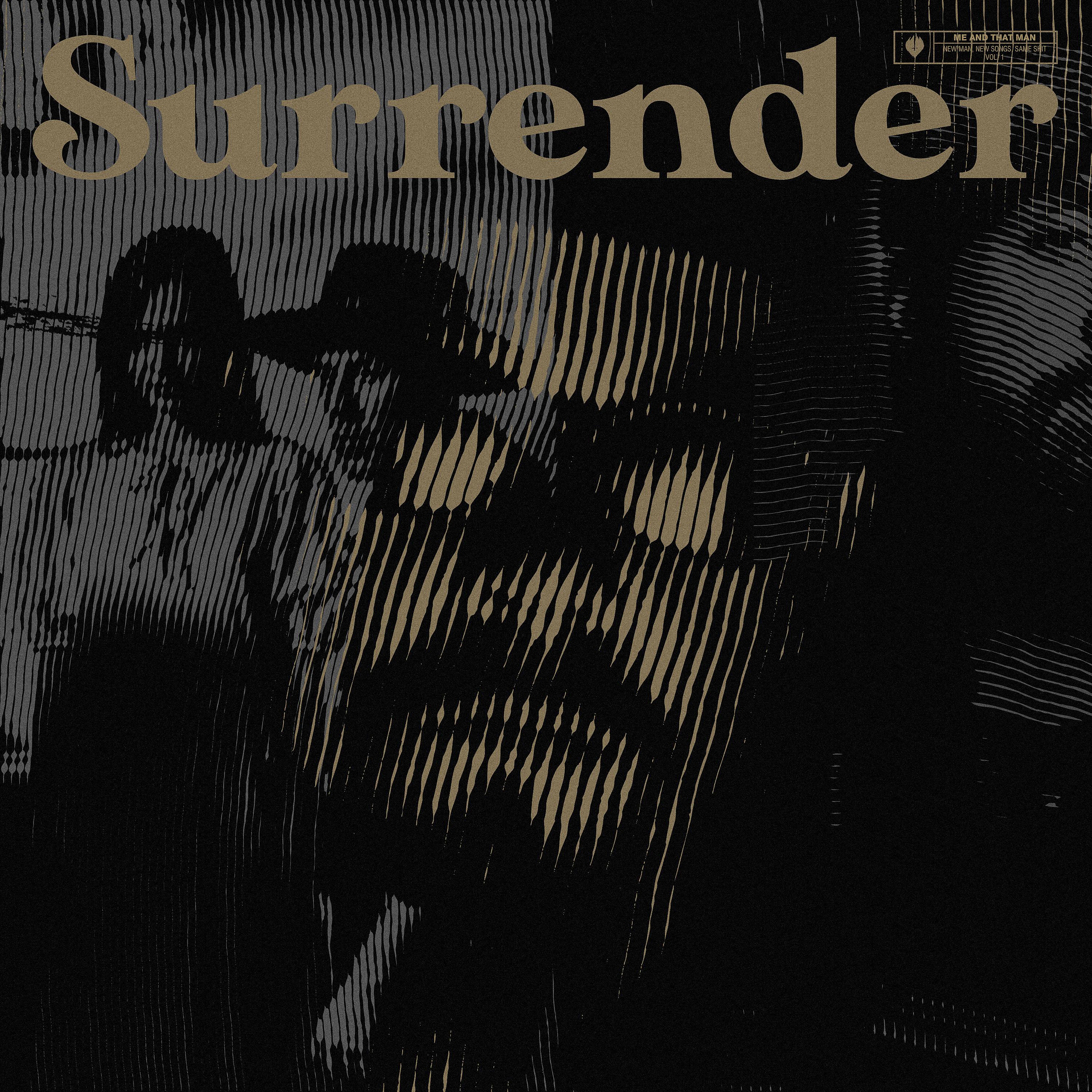 Постер альбома Surrender (feat. Dead Soul & Rob Caggiano)