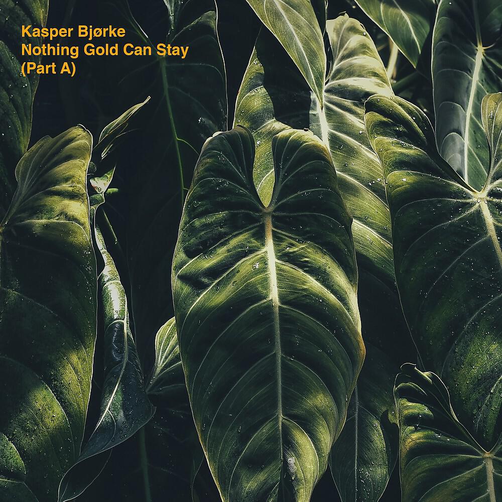 Kasper Bjørke - Seabird