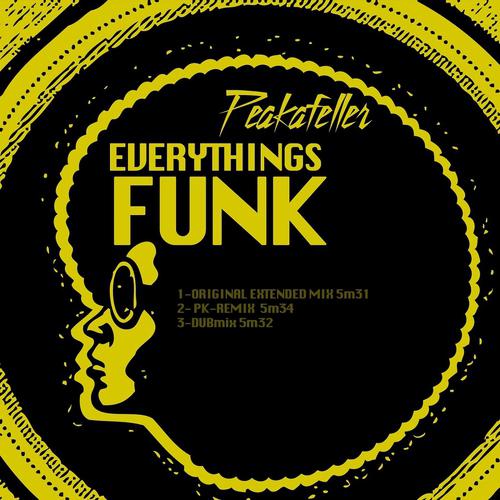 Постер альбома Everythings Funk