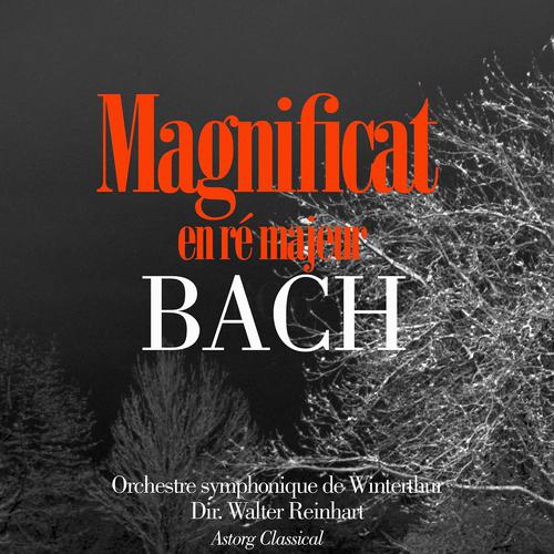 Постер альбома Bach : Magnificat en ré majeur