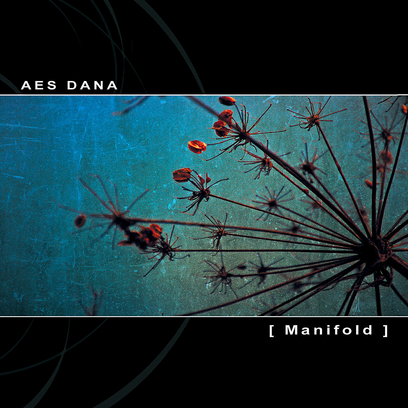 AES Dana - Manifold (Ground Edit)