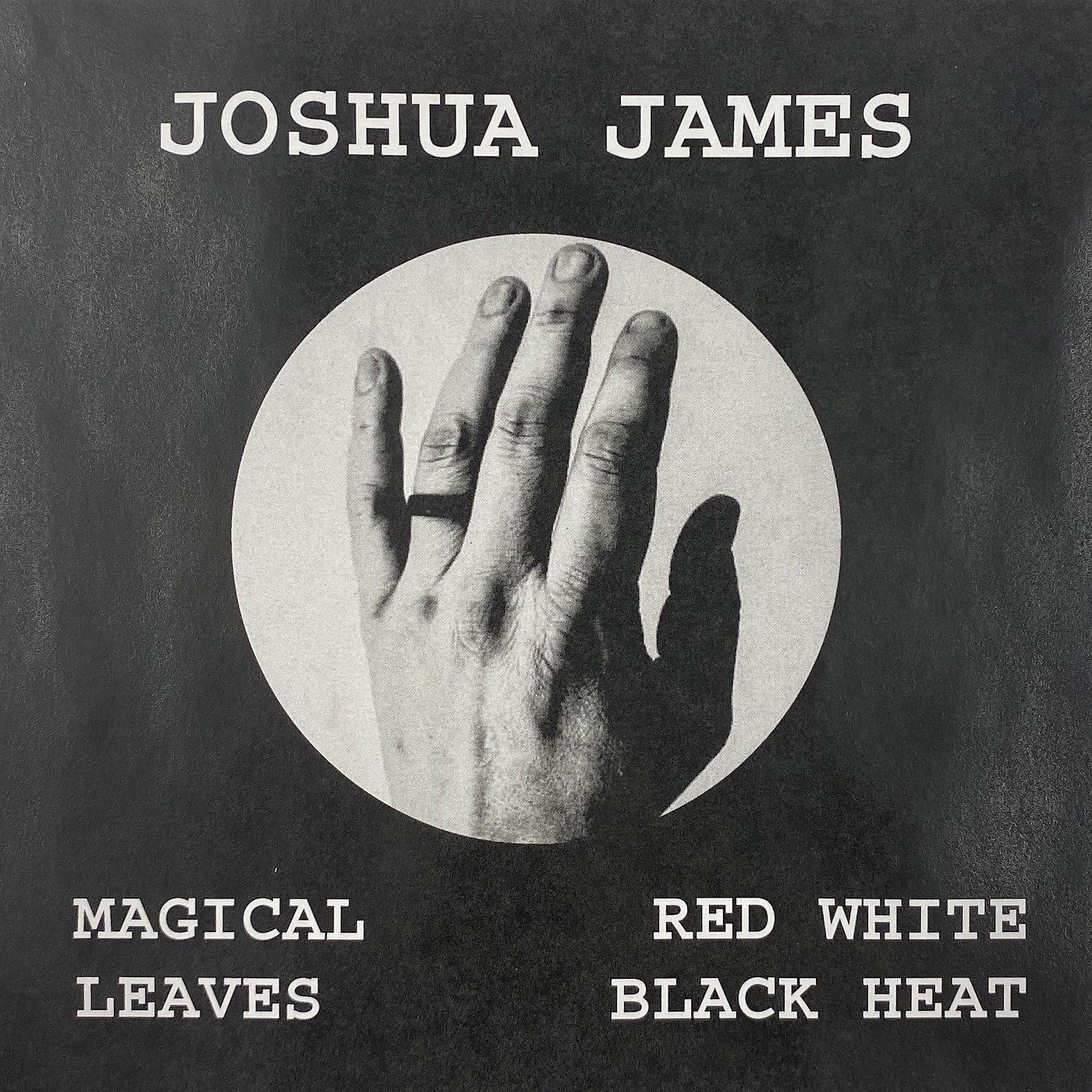 Постер альбома Magical Leaves Red White Black Heat