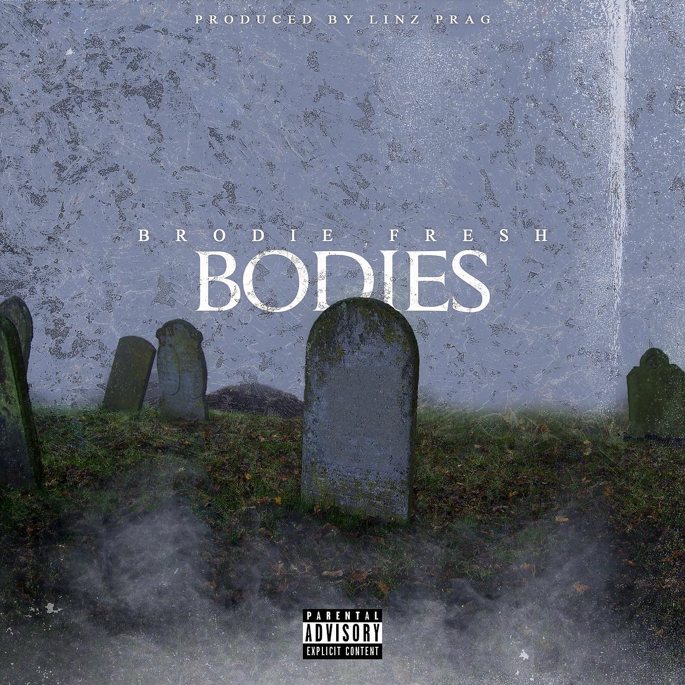 Постер альбома Bodies