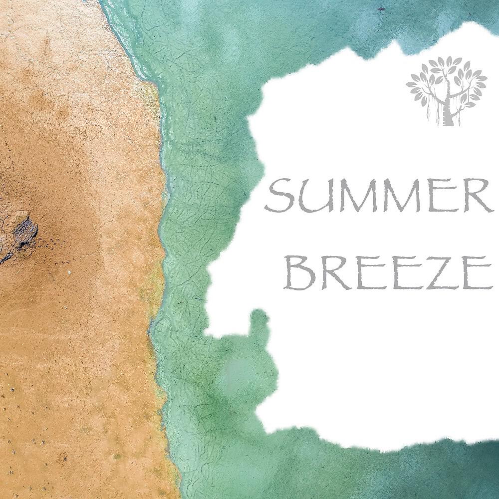 Natural Spirit - Ocean Sounds - Walk at the Beach