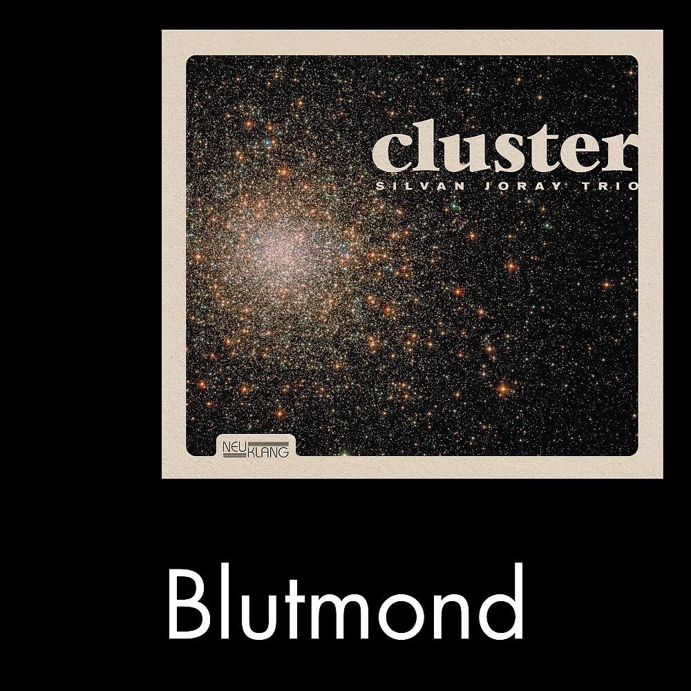 Silvan Joray - Blutmond