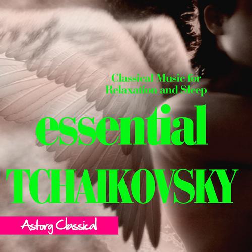 Постер альбома Essential Tchaikovsky
