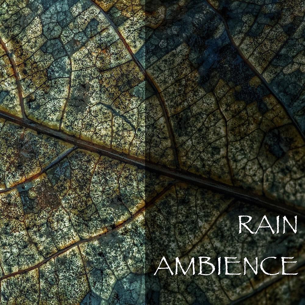 Natural Spirit - Rain Sounds - Baby Sleep Sounds