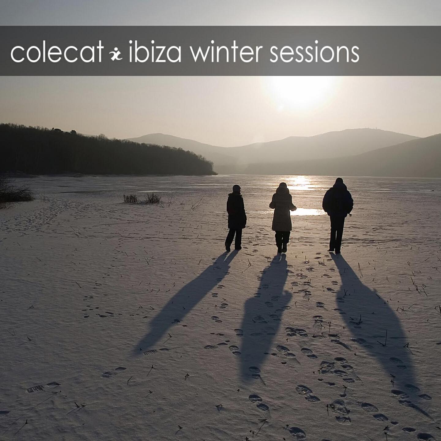 Colecat - Lady Kamelia