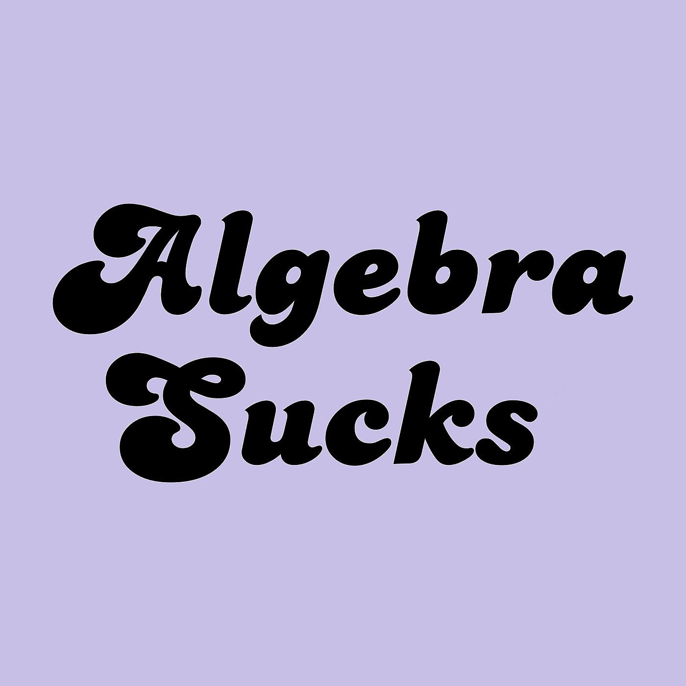 Постер альбома Algebra Sucks