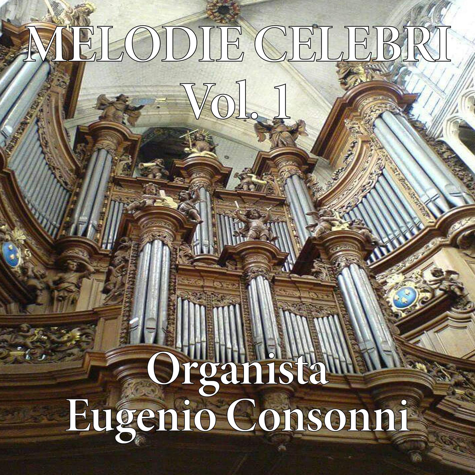 Постер альбома Melodie celebri per organo, vol. 1