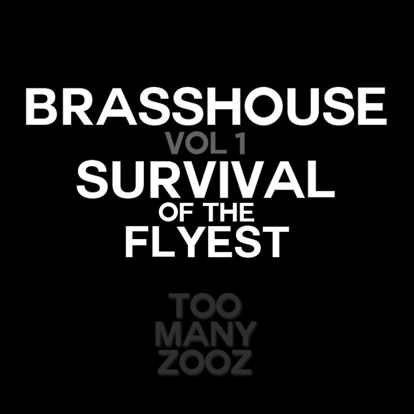 Too Many Zooz - Concerto for Bari and Sludge Pt. 1