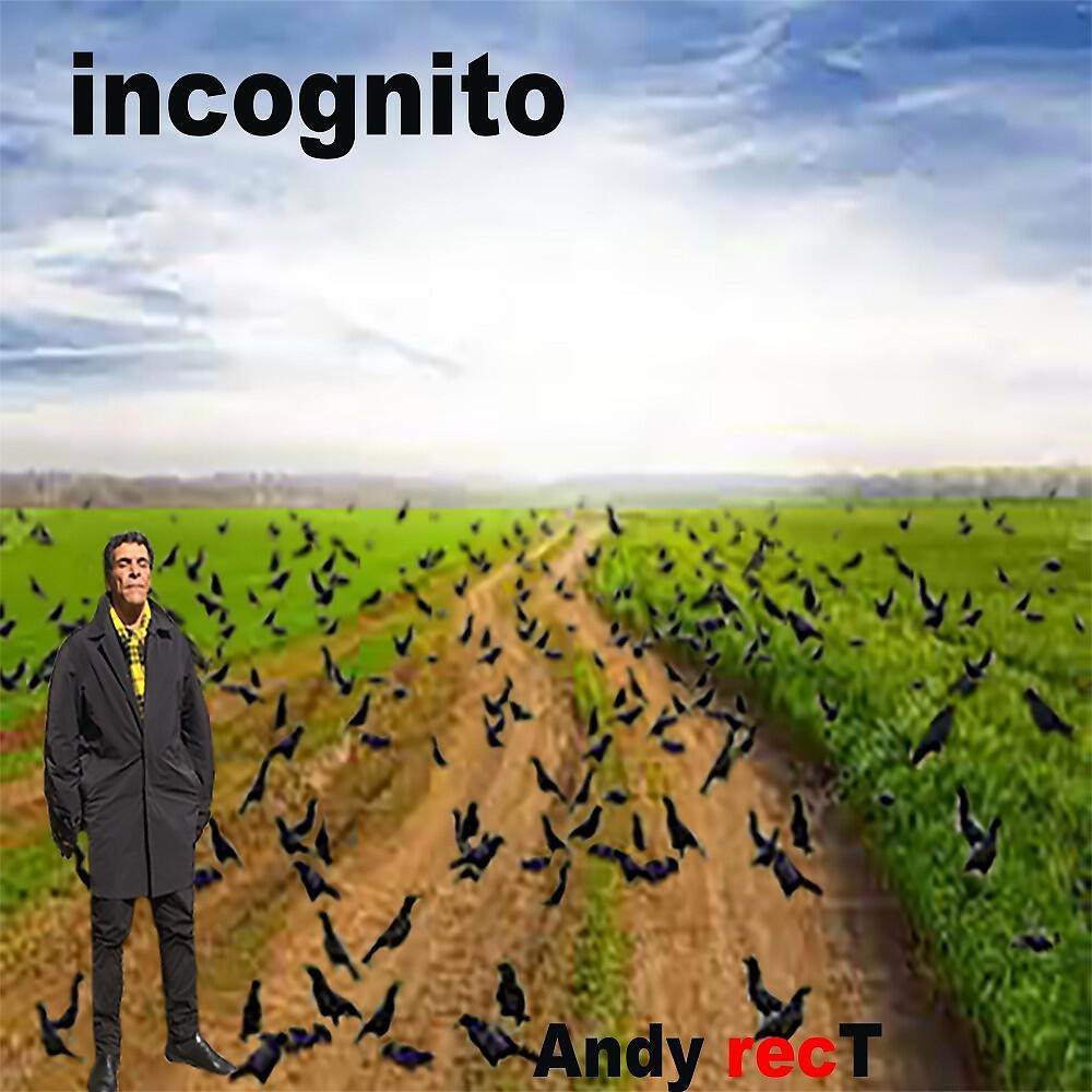 Andy RecT - Le blues de l'incognito