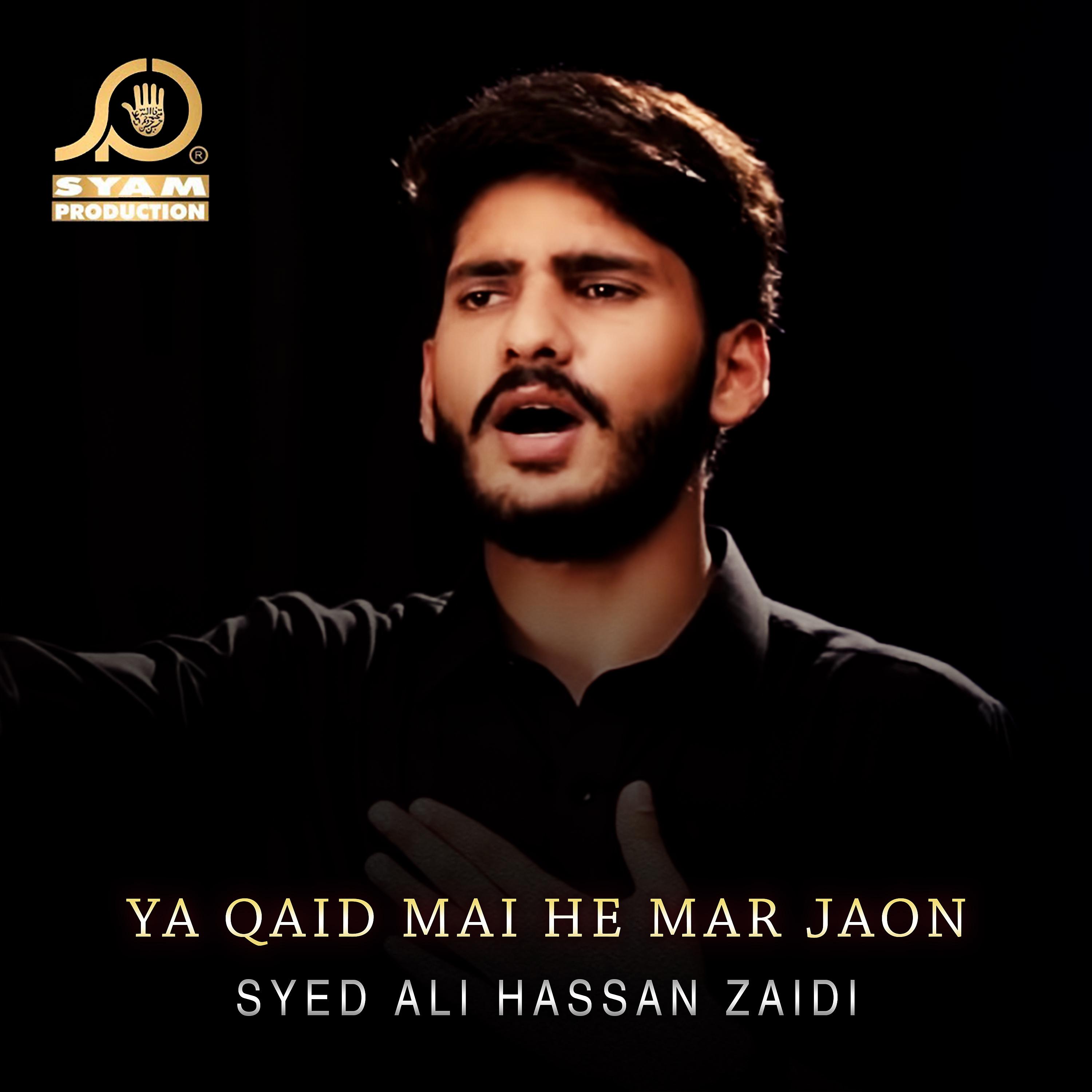 Постер альбома Ya Qaid Mai He Mar Jaon - Single