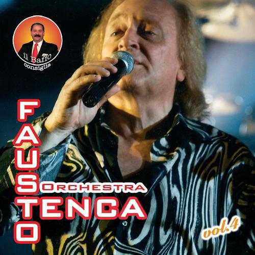 Постер альбома Fausto Tenca, vol.4