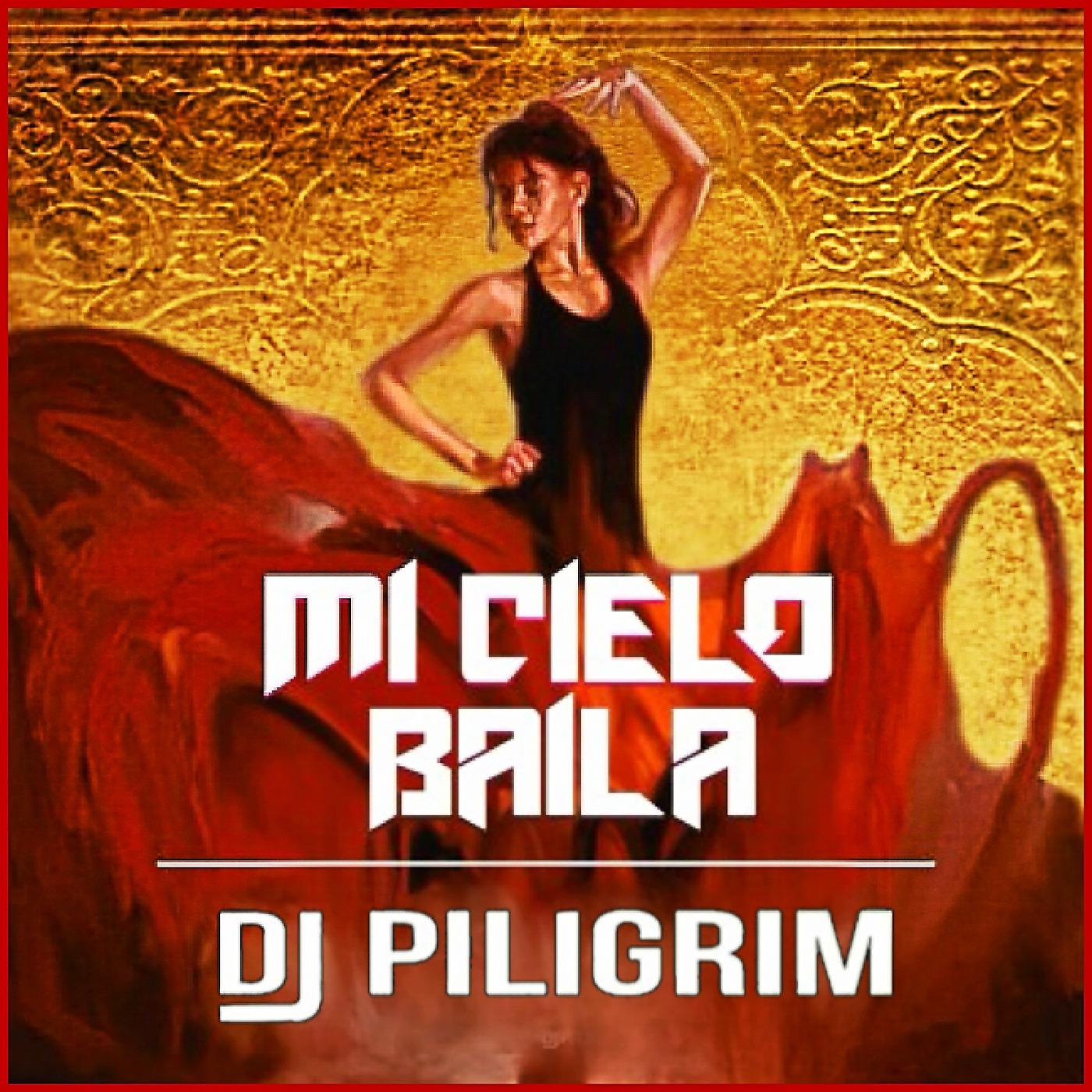 Постер альбома Mi Cielo Baila
