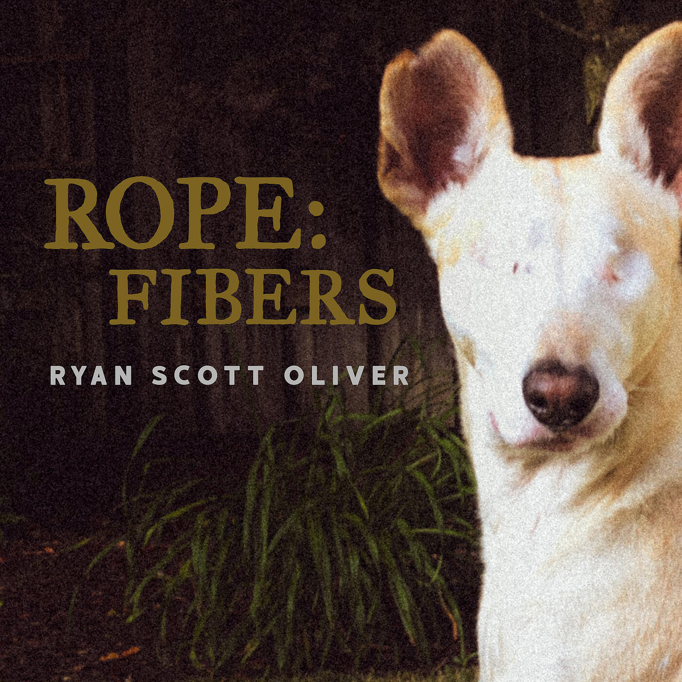 Ryan Scott Oliver - The Stranger