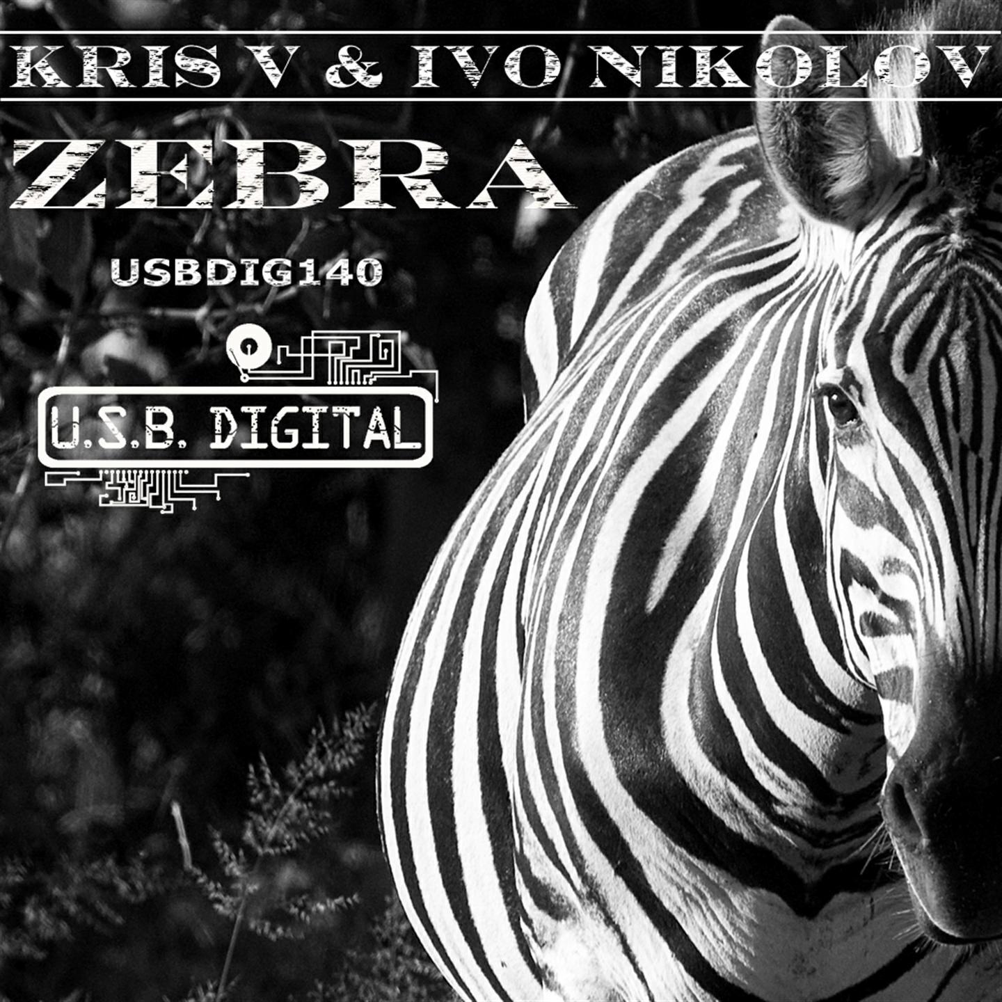 Kris V - Zebra (Stevie Fitz Remix)