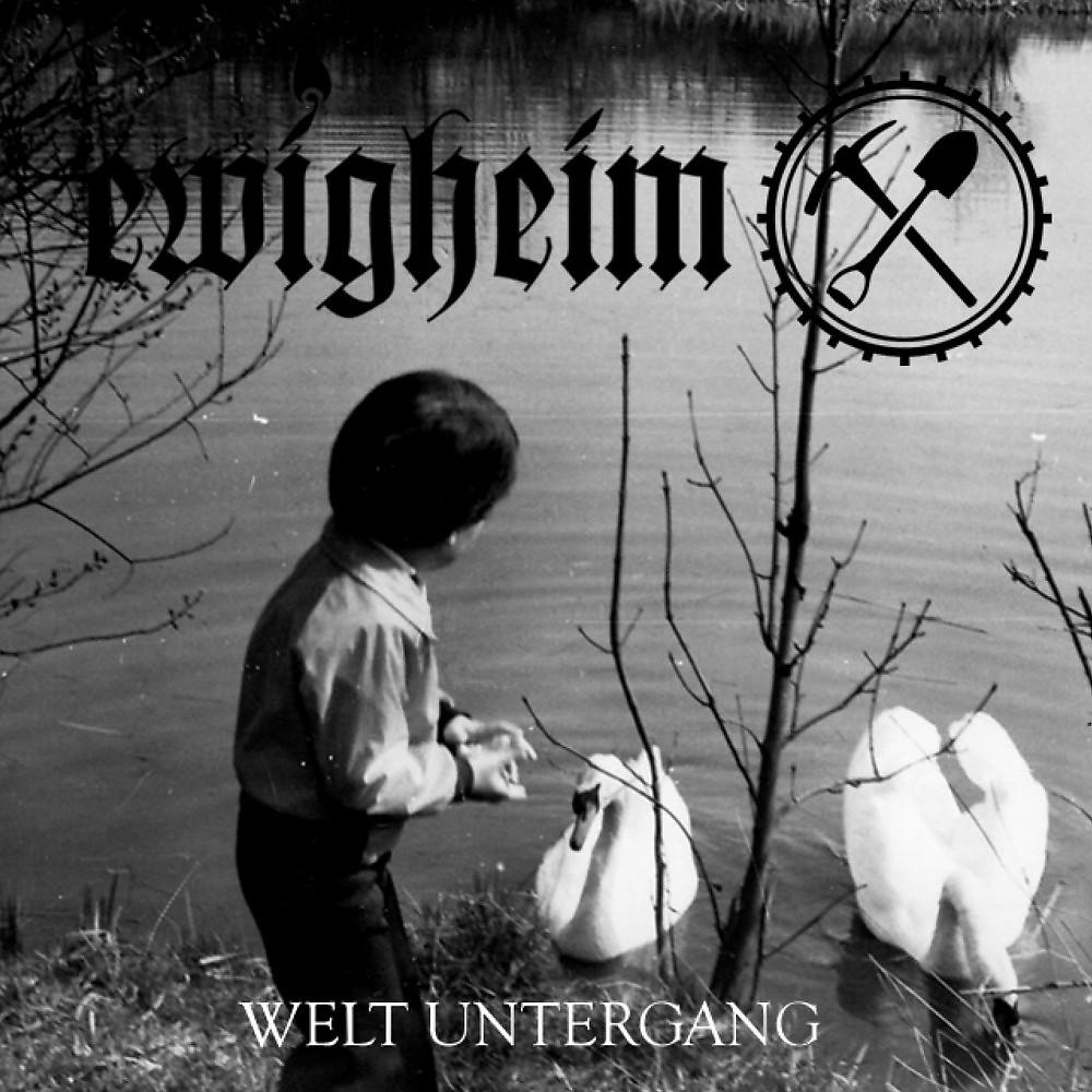 Постер альбома Welt Untergang