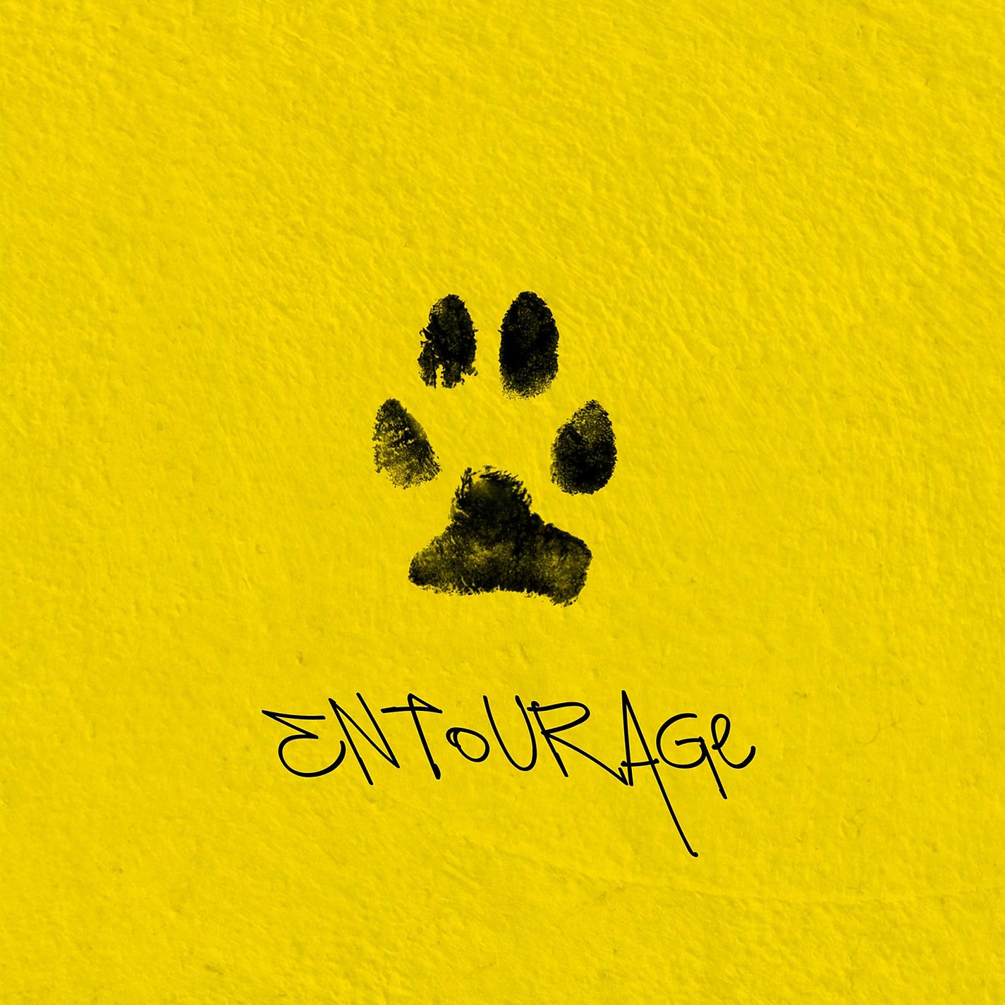 Постер альбома Entourage
