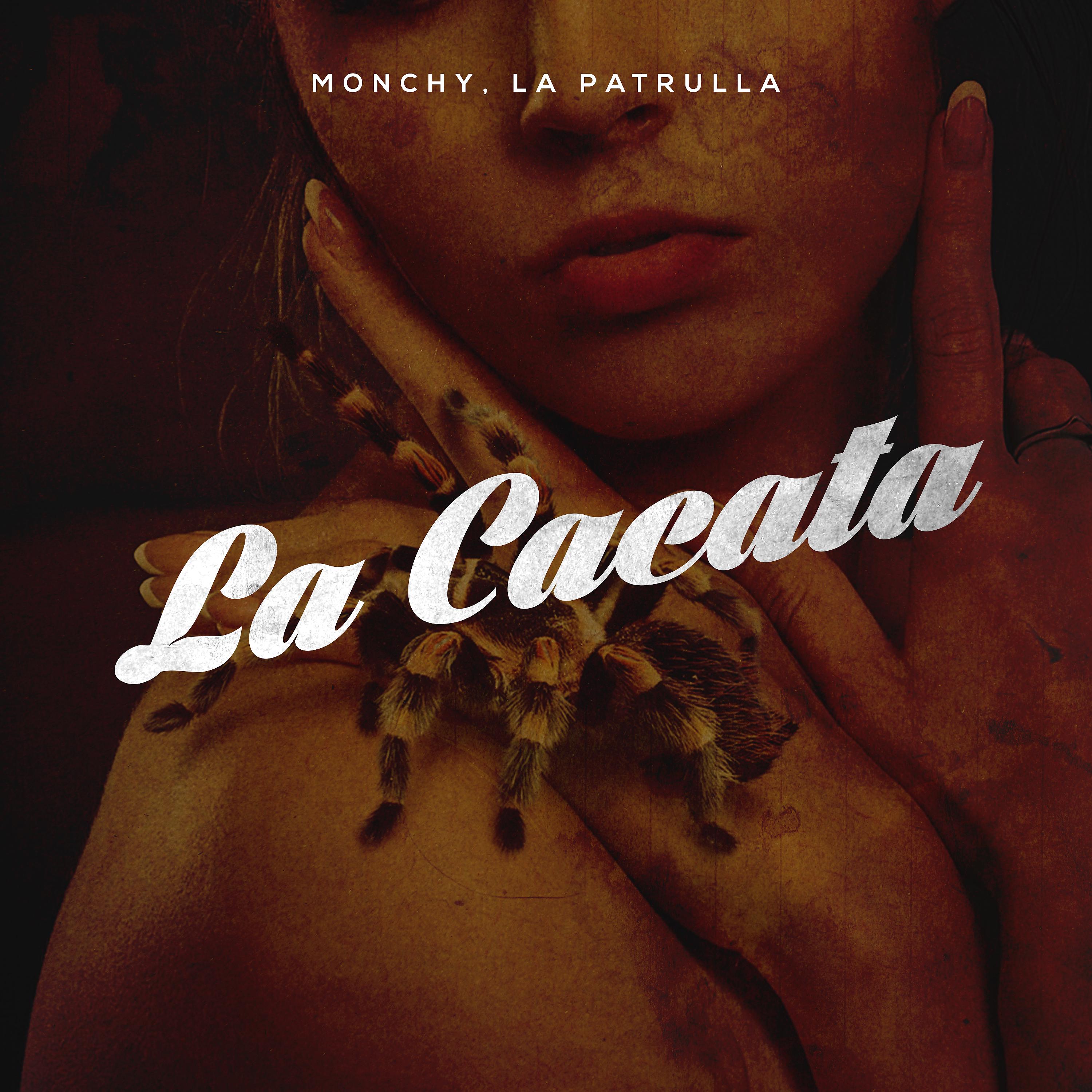 Постер альбома La Cacata