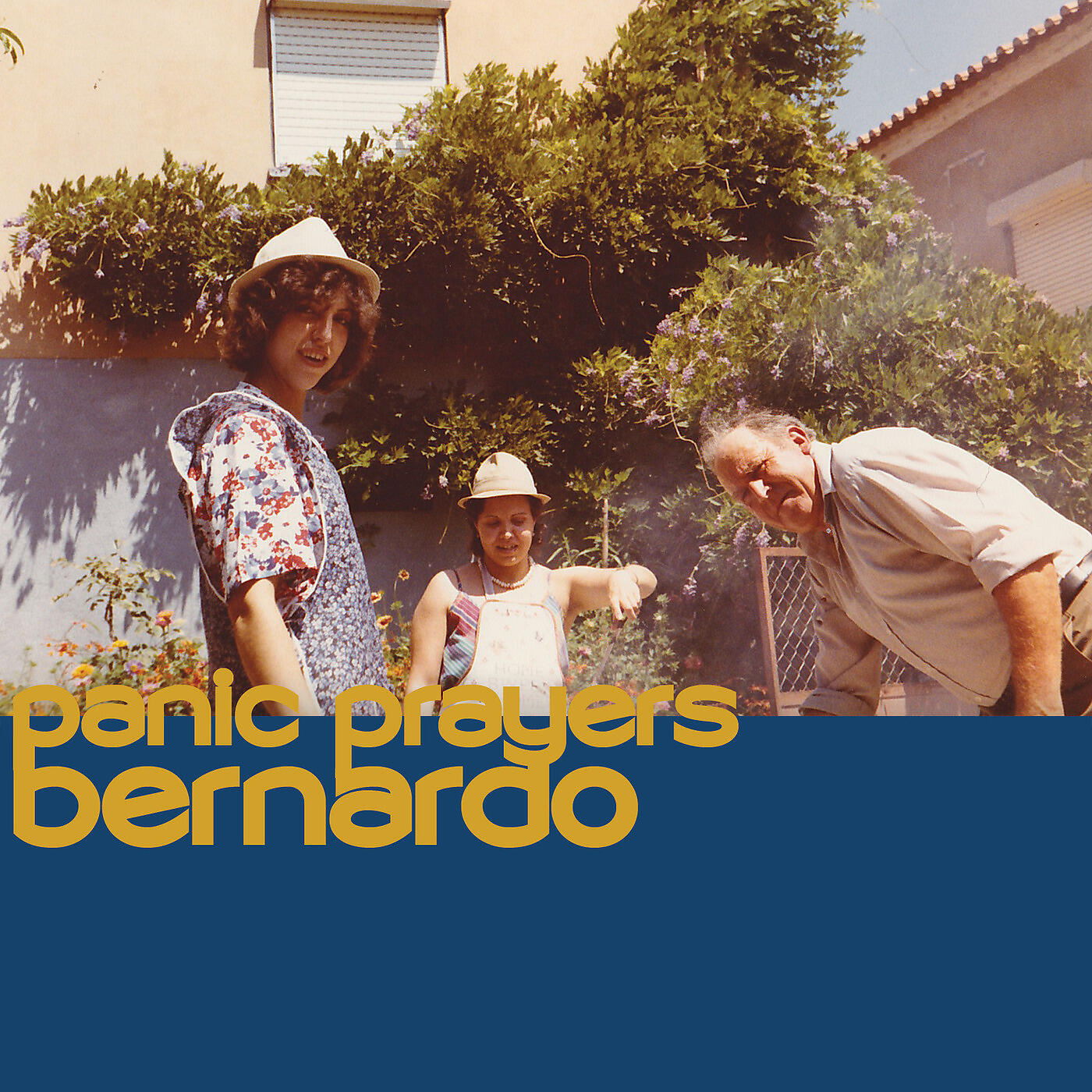 BERNARDO - Wiser