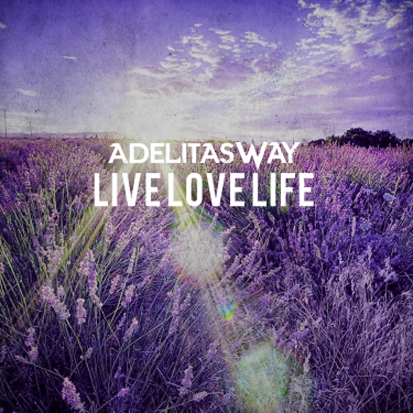 Постер альбома Live Love Life