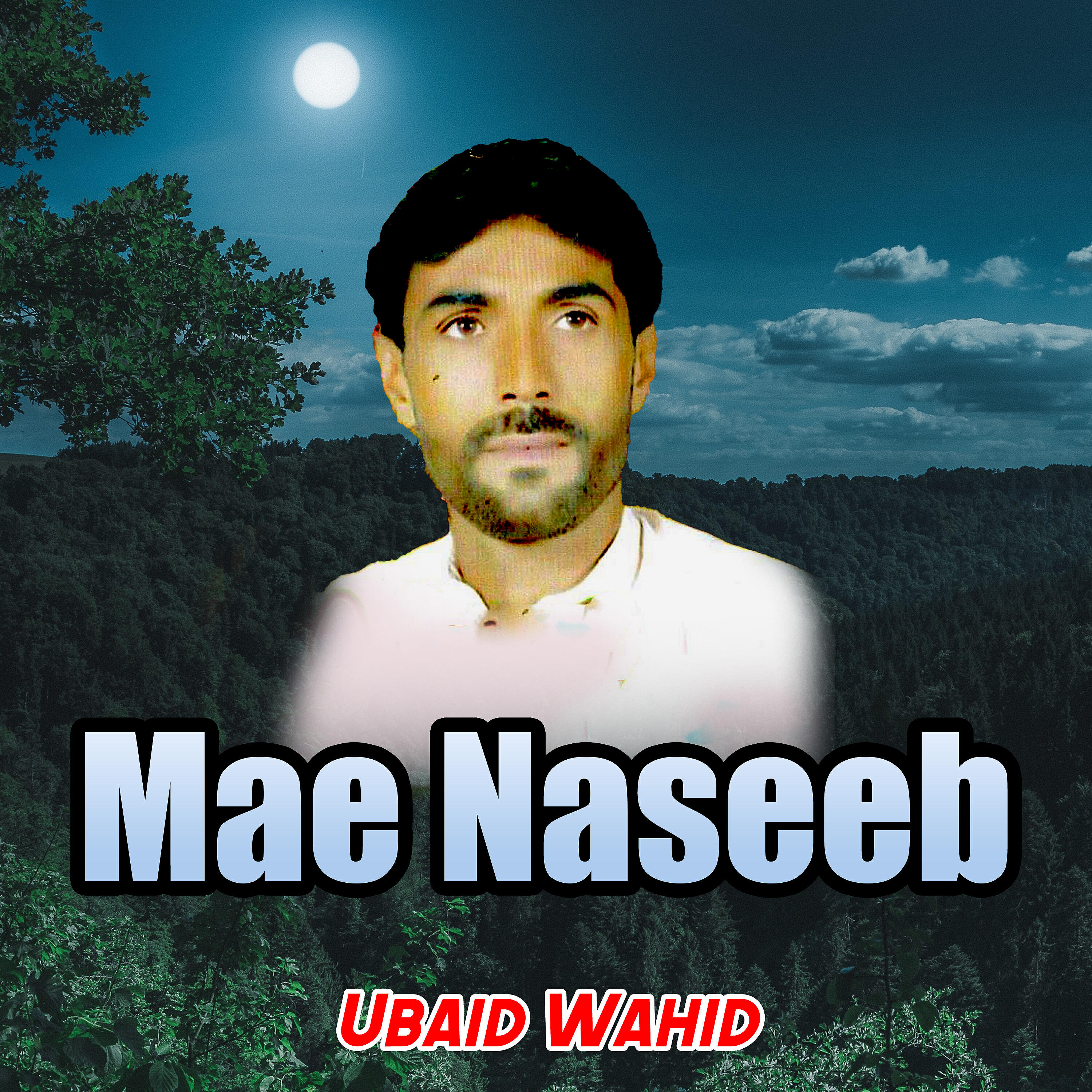 Ubaid Wahid - Ae Jank Dorochay