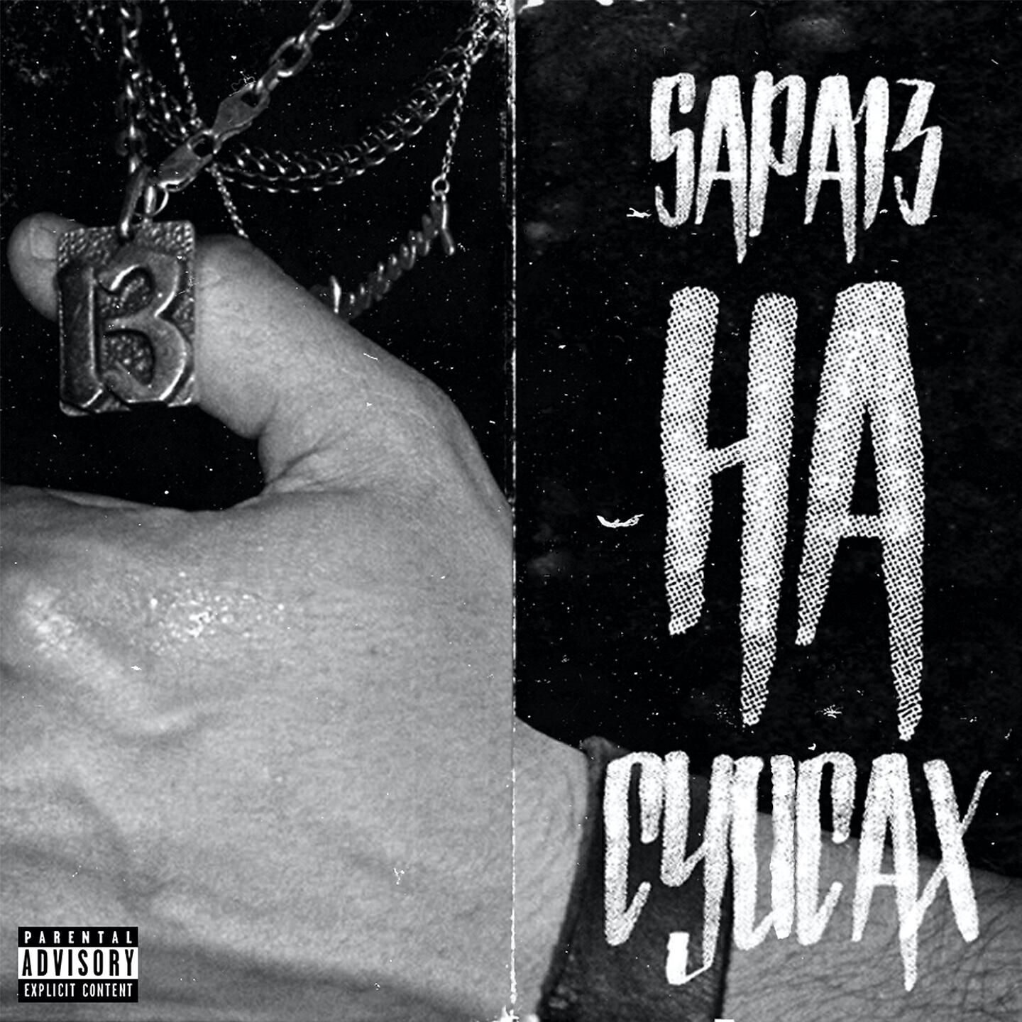 SAPA13 - На суисах