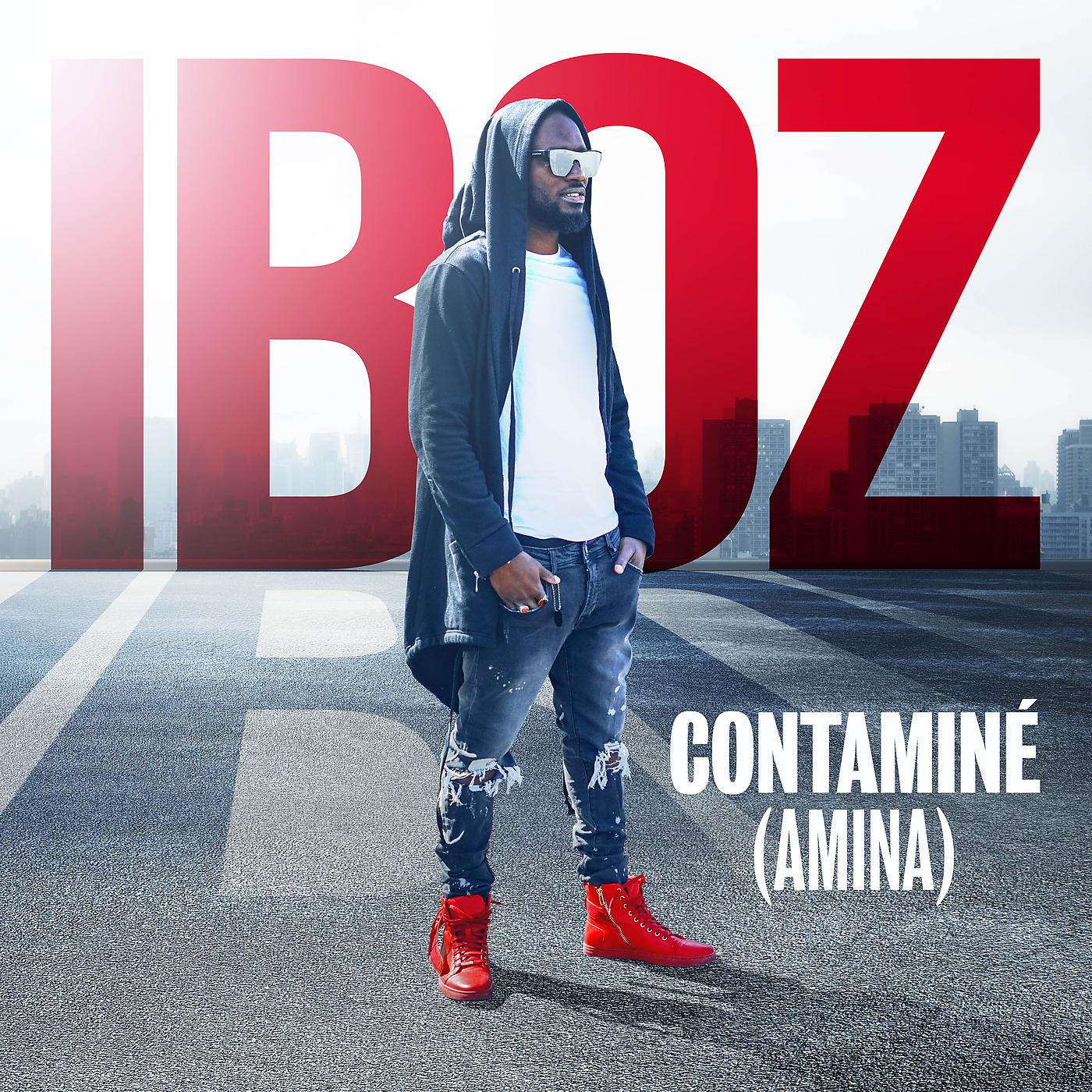 Постер альбома Contaminé (Amina)