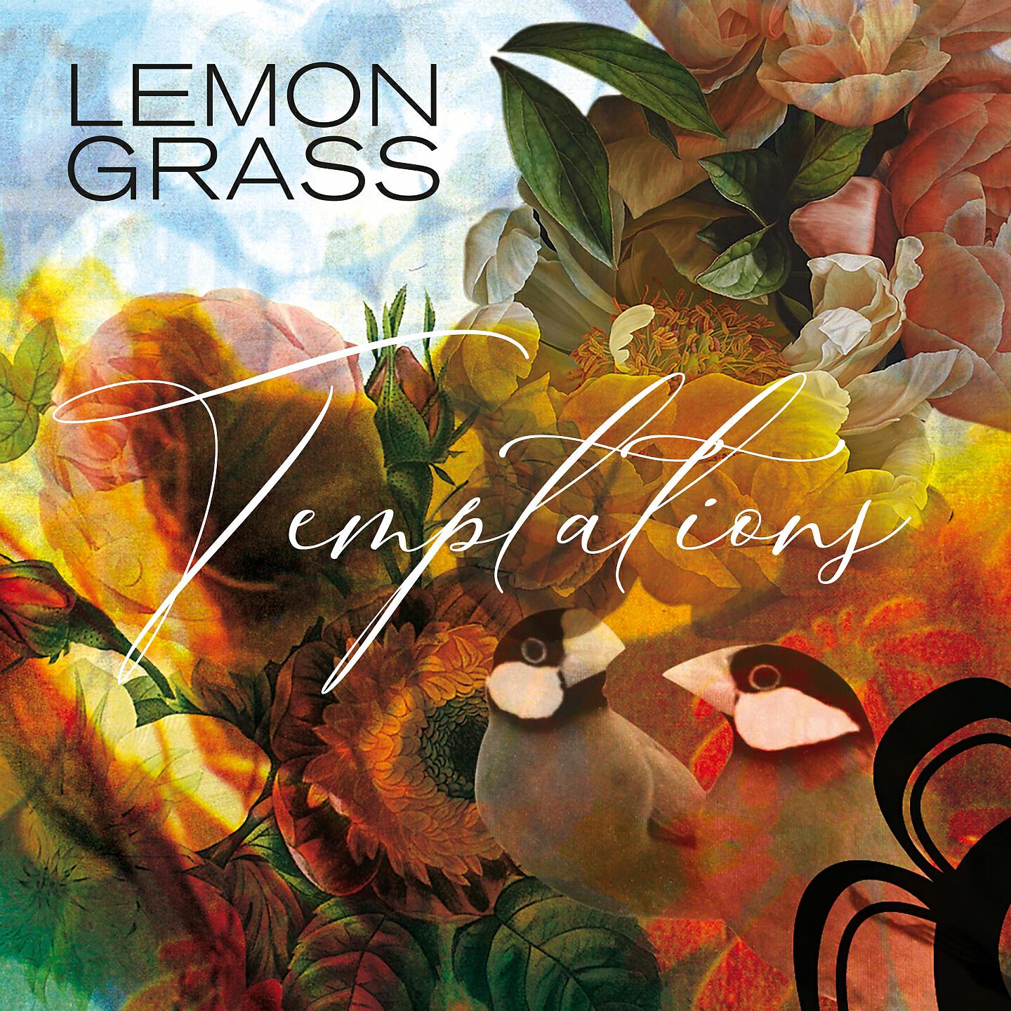 LemonGrass - Straight Ahead