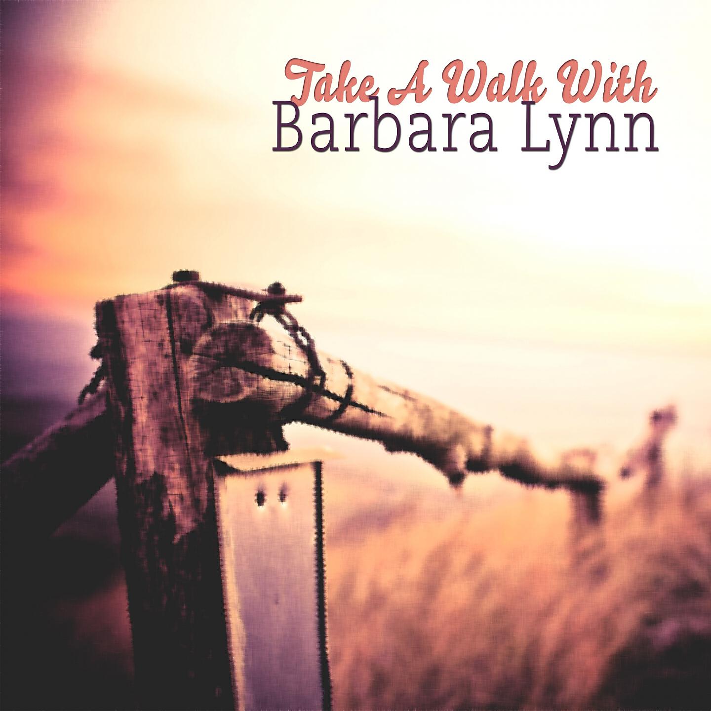 Barbara Lynn - You'll Lose A Good Thing