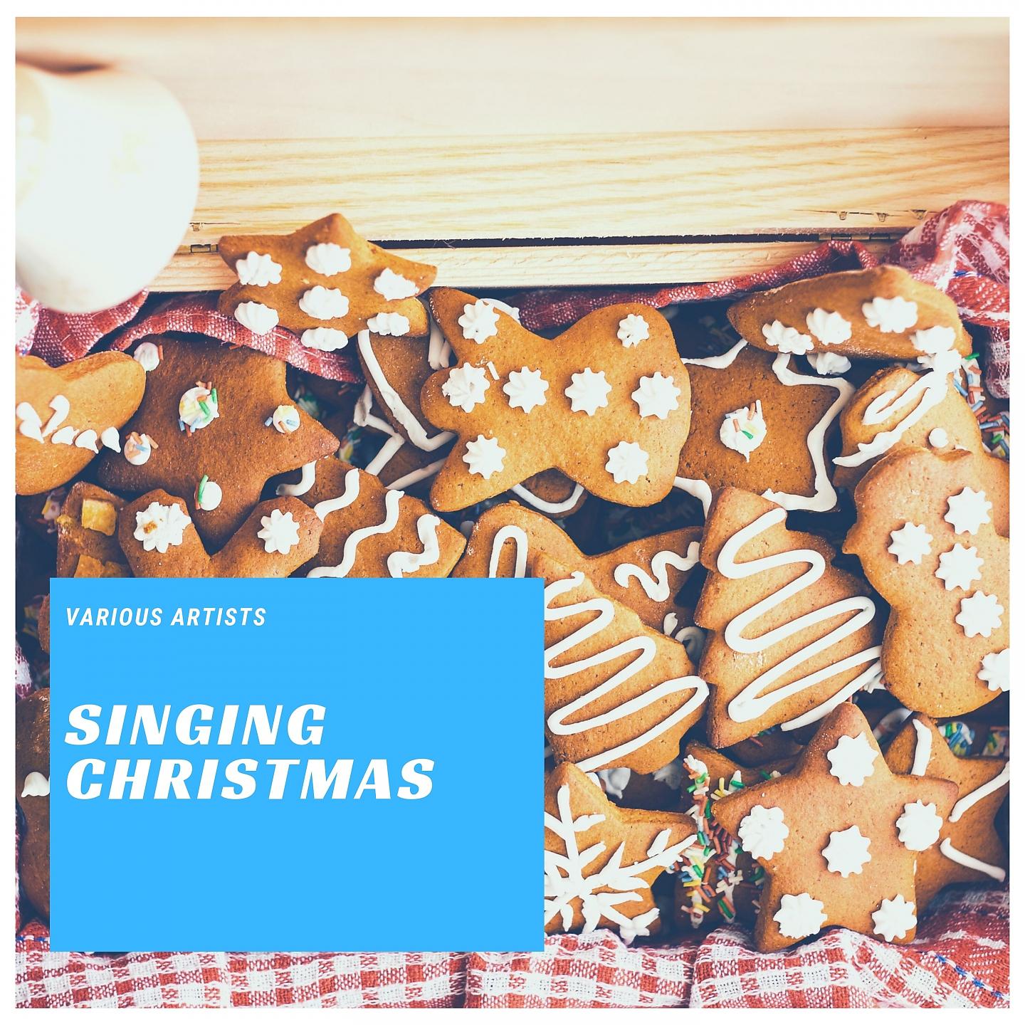 Постер альбома Singing Christmas